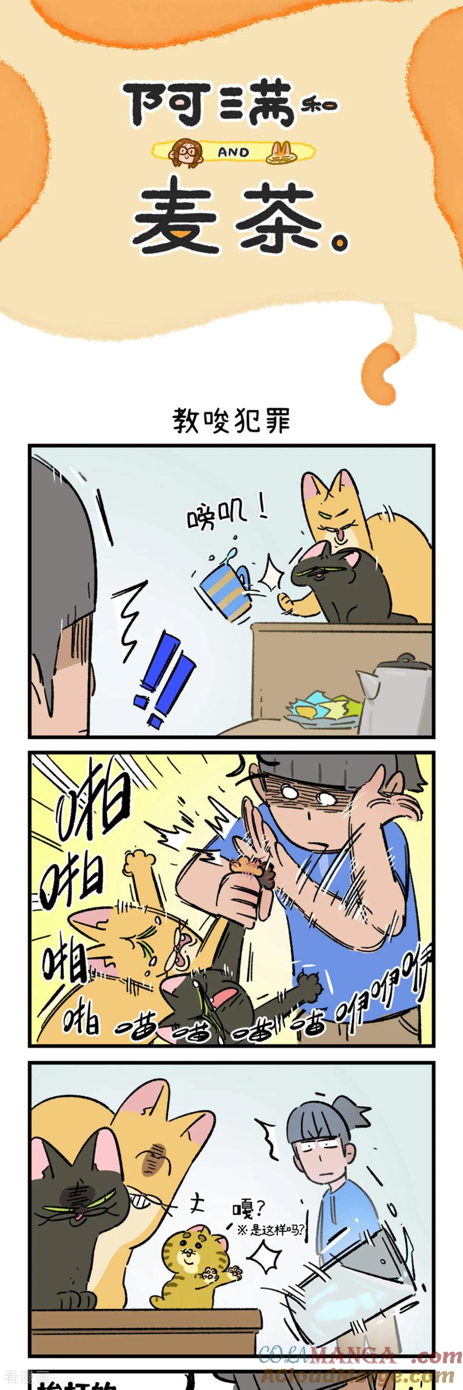 第219话-阿满和麦茶-新漫画 日胖大海寺（第13张）