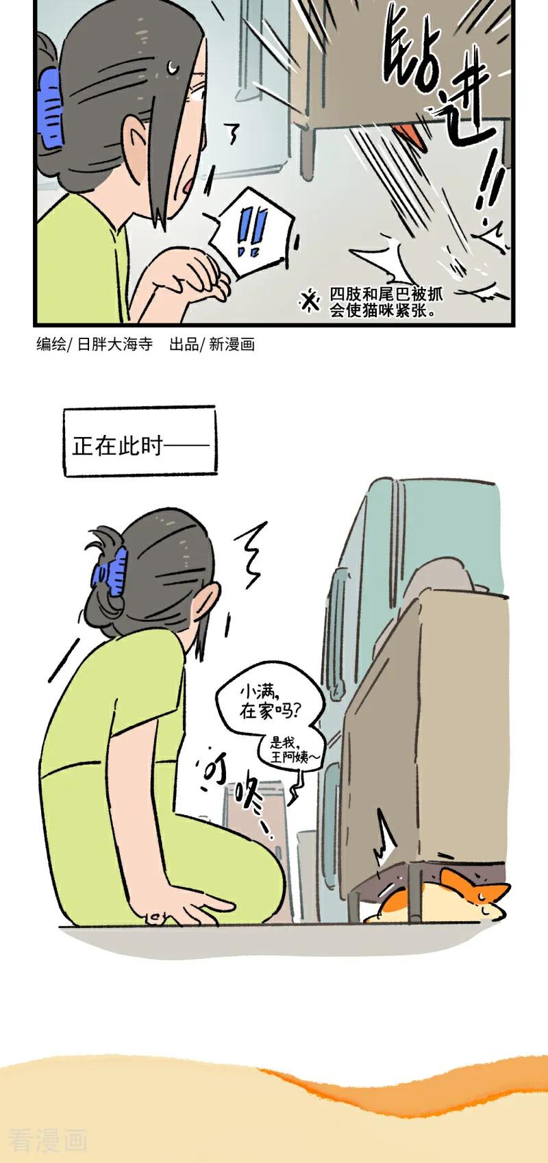 第220话-阿满和麦茶-新漫画 日胖大海寺（第8张）