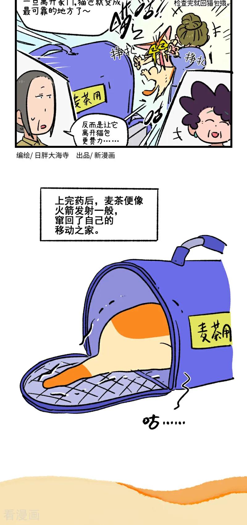 第221话-阿满和麦茶-新漫画 日胖大海寺（第14张）
