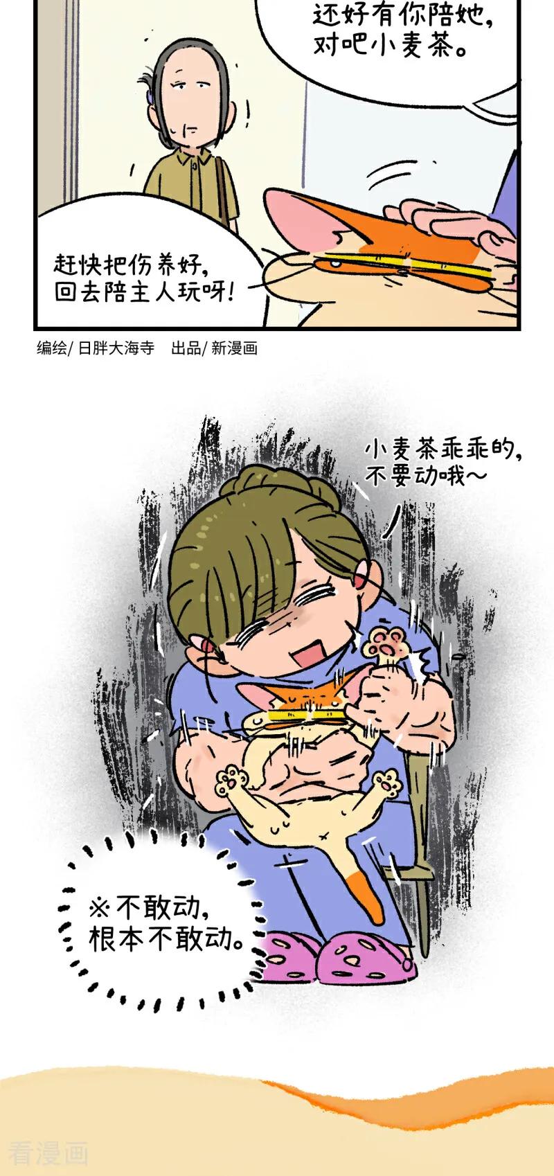 第221话-阿满和麦茶-新漫画 日胖大海寺（第6张）
