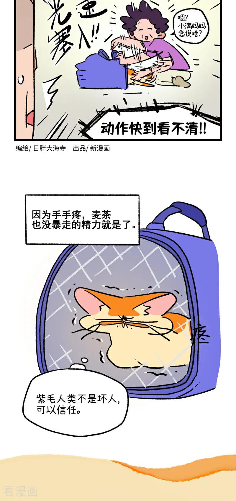 第221话-阿满和麦茶-新漫画 日胖大海寺（第2张）