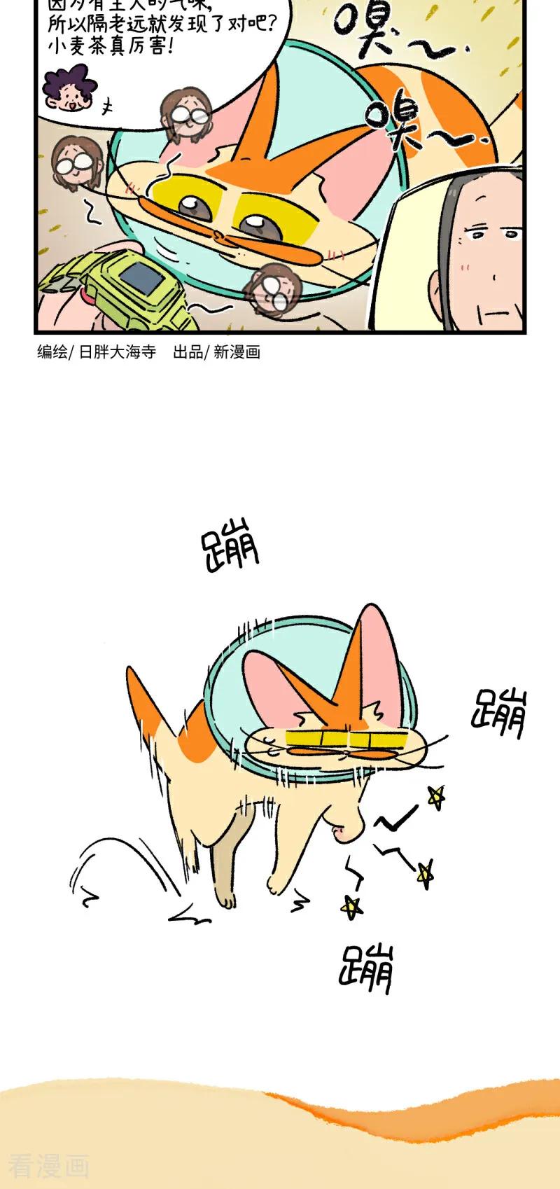第222话-阿满和麦茶-新漫画 日胖大海寺（第12张）