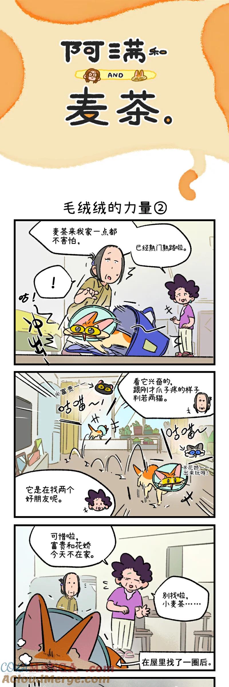 第222话-阿满和麦茶-新漫画 日胖大海寺（第3张）
