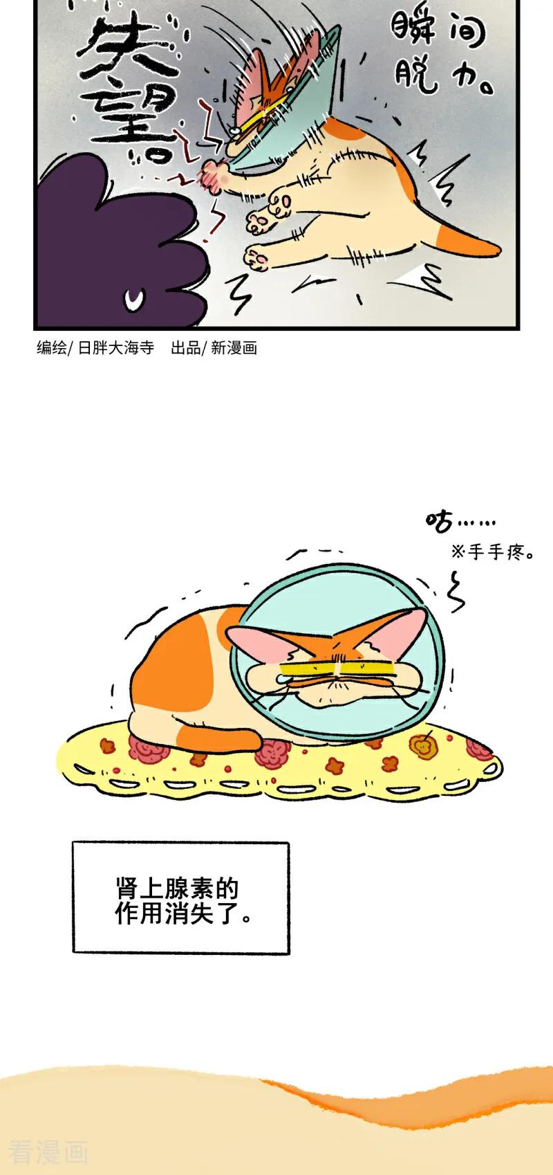 第222话-阿满和麦茶-新漫画 日胖大海寺（第4张）
