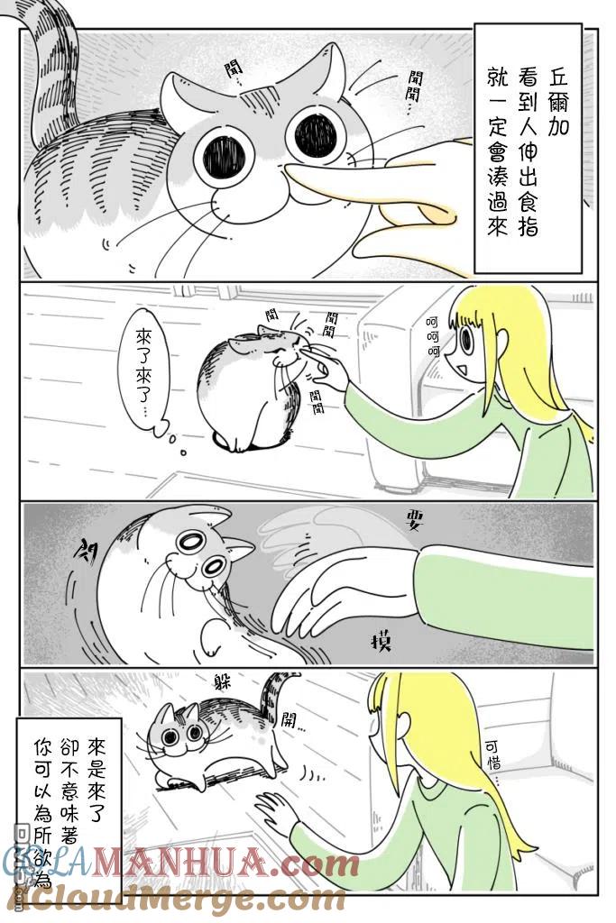 第39话-关于养猫我一直是新手-キュルZ（第2张）