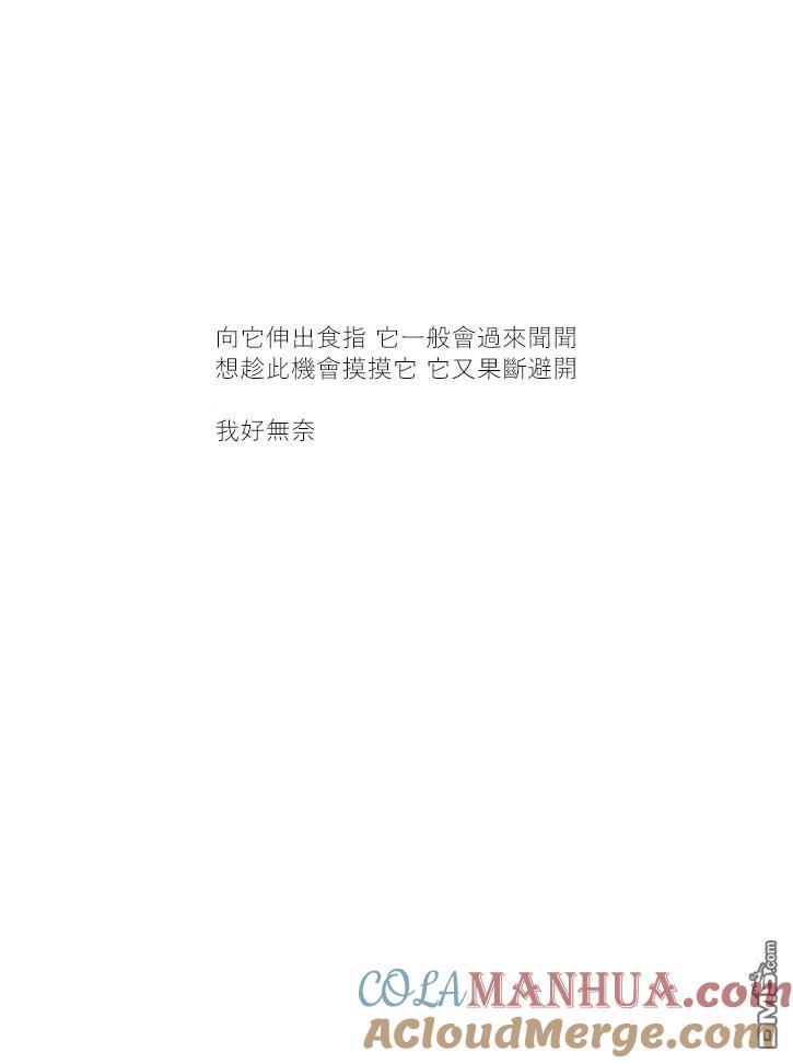 第39话-关于养猫我一直是新手-キュルZ（第3张）
