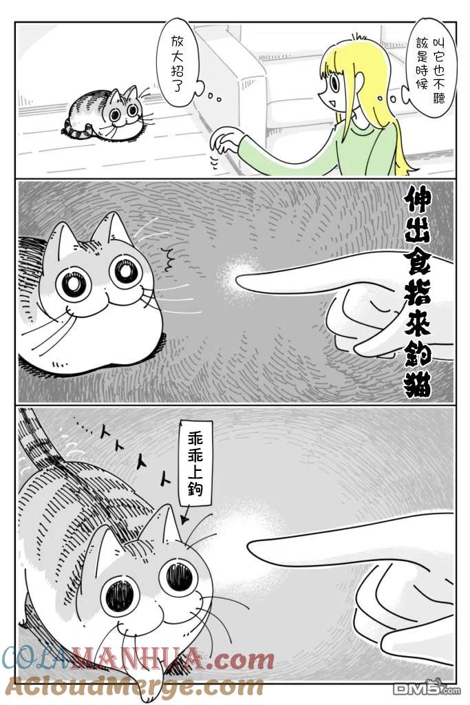 第39话-关于养猫我一直是新手-キュルZ（第1张）