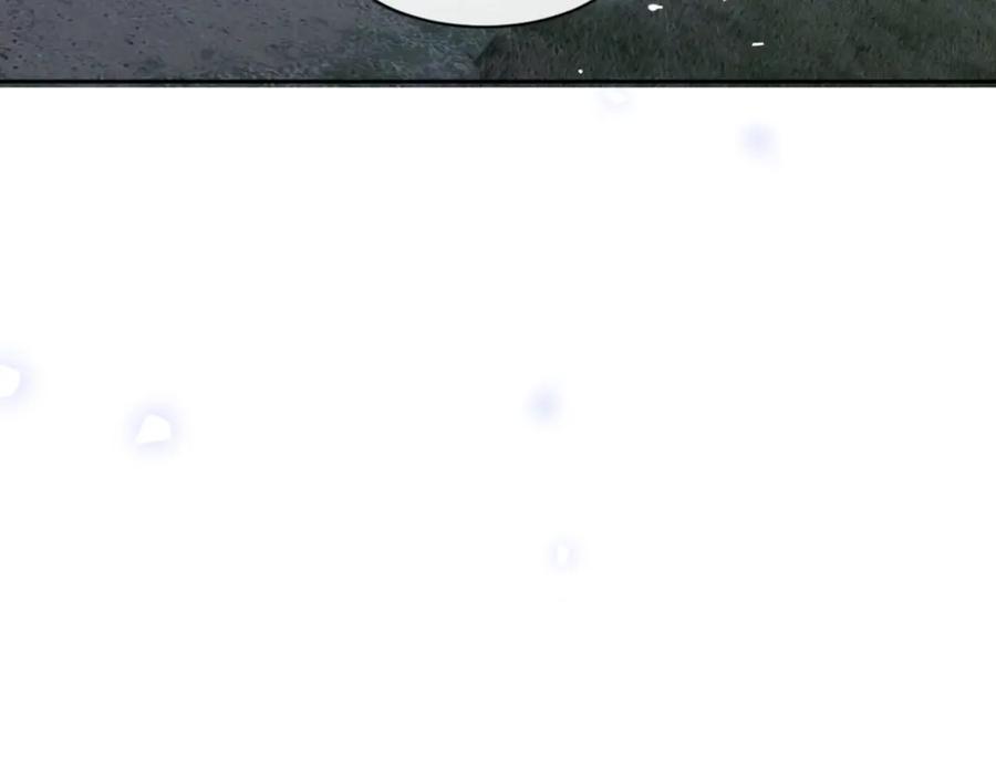 164.jpg