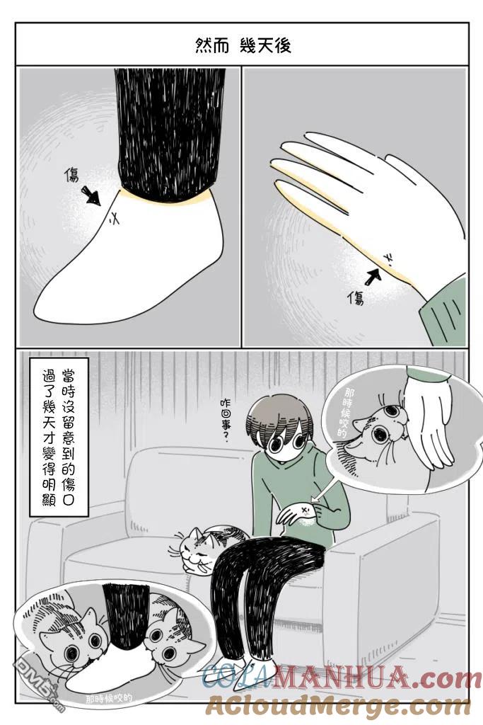 第64话-关于养猫我一直是新手-キュルZ（第3张）