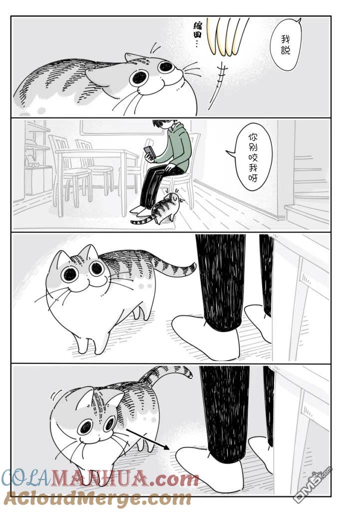 第64话-关于养猫我一直是新手-キュルZ（第1张）
