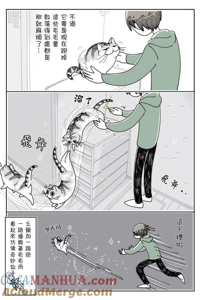第65话-关于养猫我一直是新手-キュルZ（第3张）