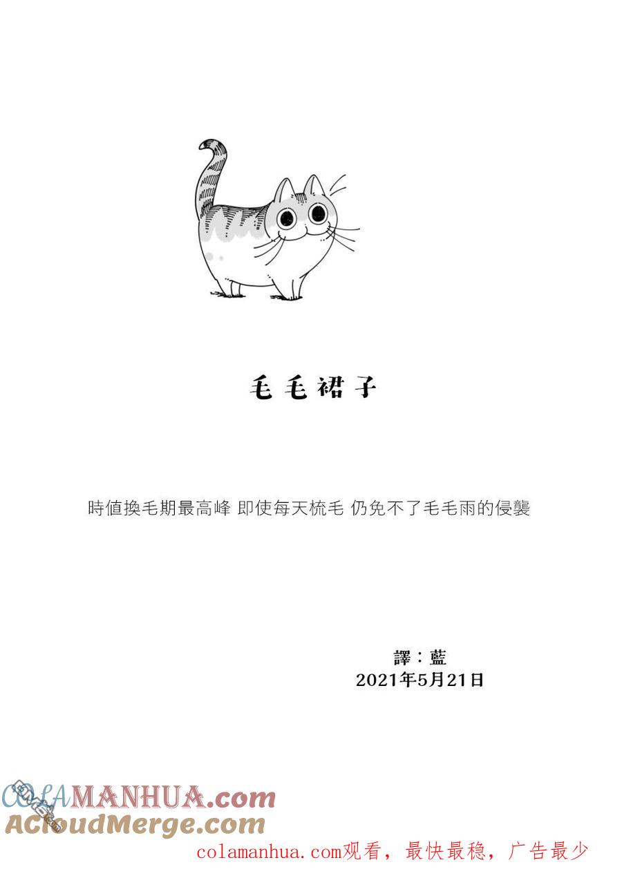 第65话-关于养猫我一直是新手-キュルZ（第4张）