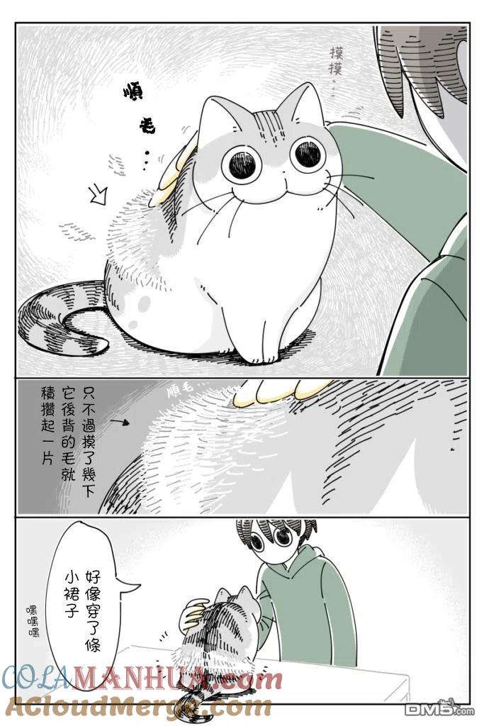 第65话-关于养猫我一直是新手-キュルZ（第2张）