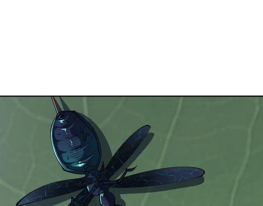 171.jpg