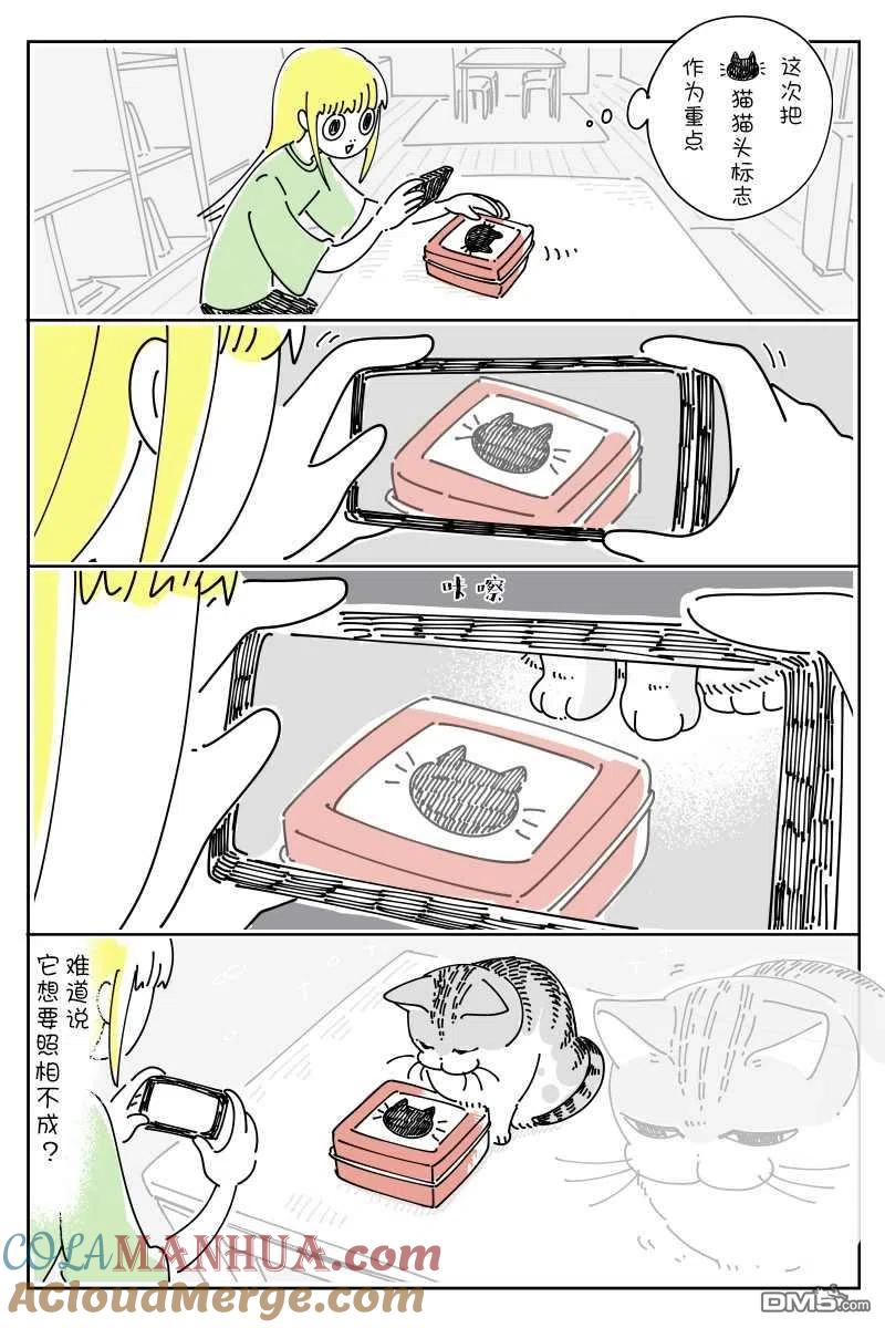 第81话-关于养猫我一直是新手-キュルZ（第1张）