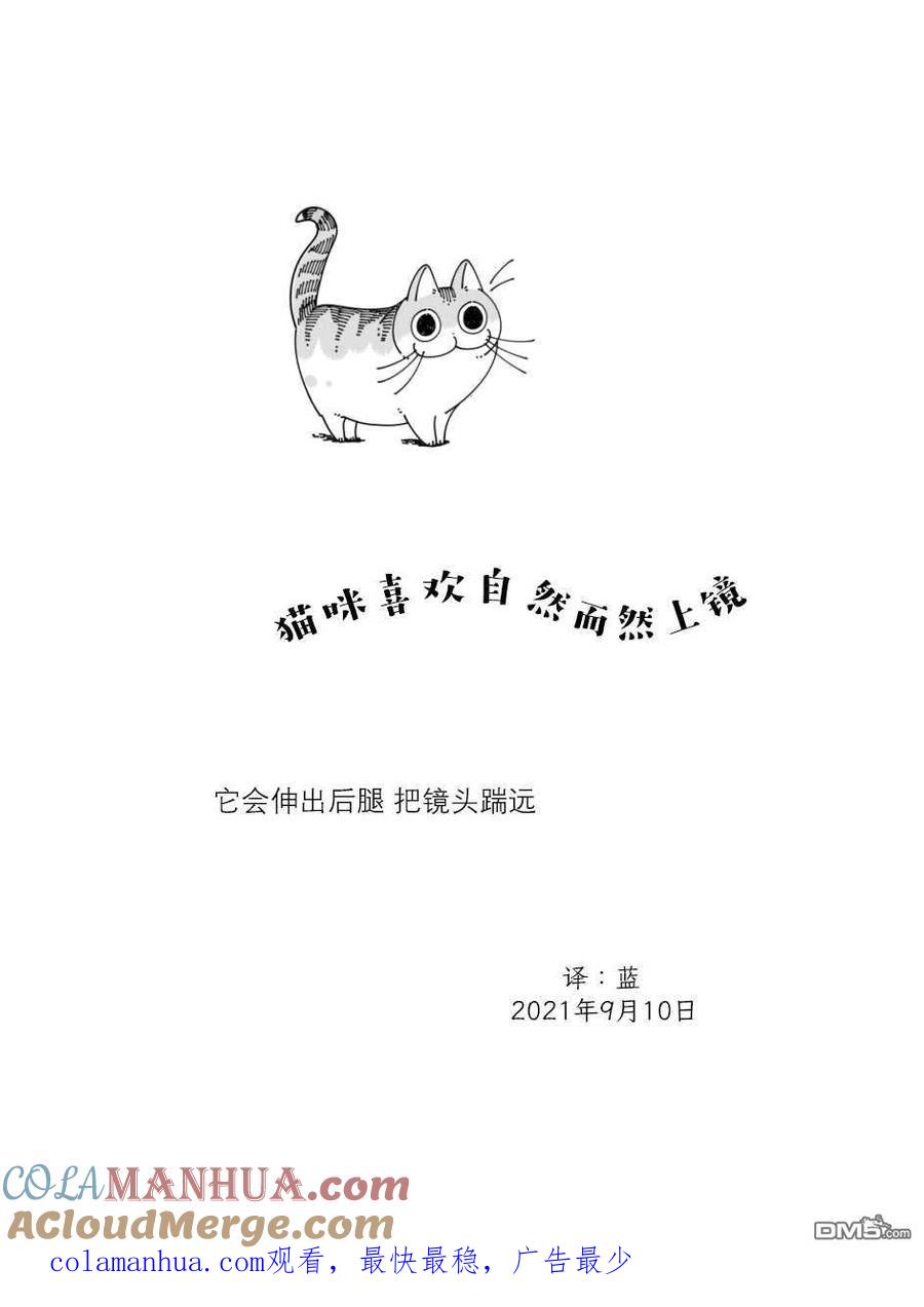 第81话-关于养猫我一直是新手-キュルZ（第3张）