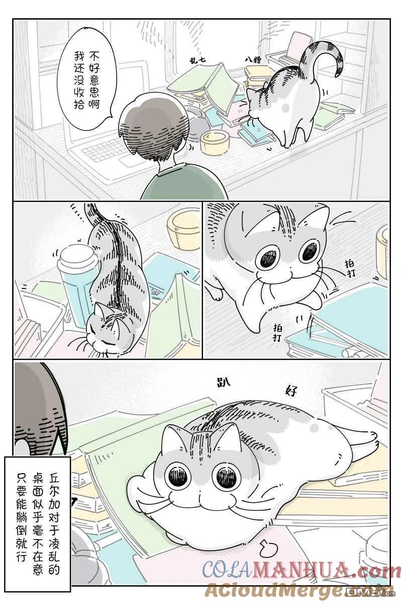 第82话-关于养猫我一直是新手-キュルZ（第1张）