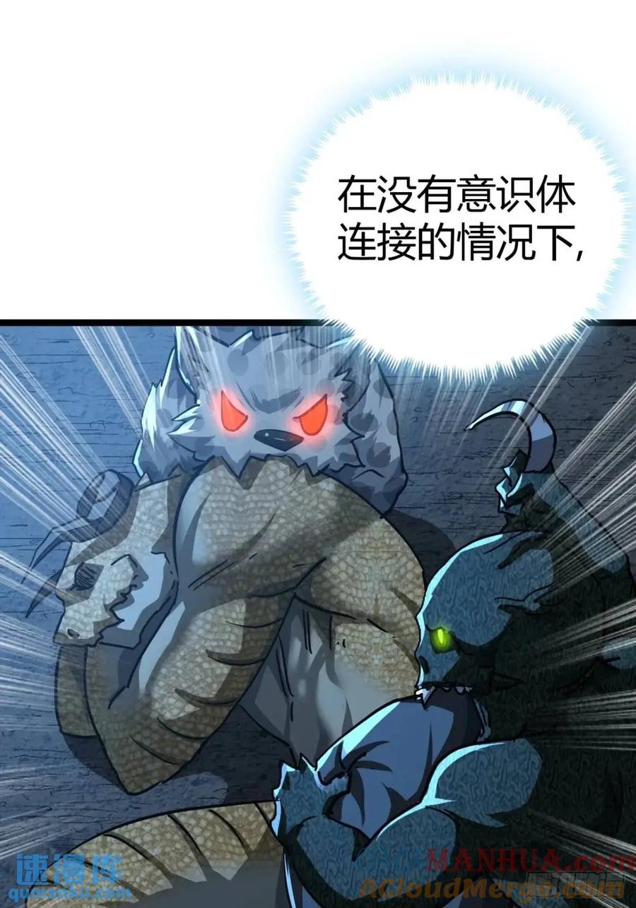 43.jpg