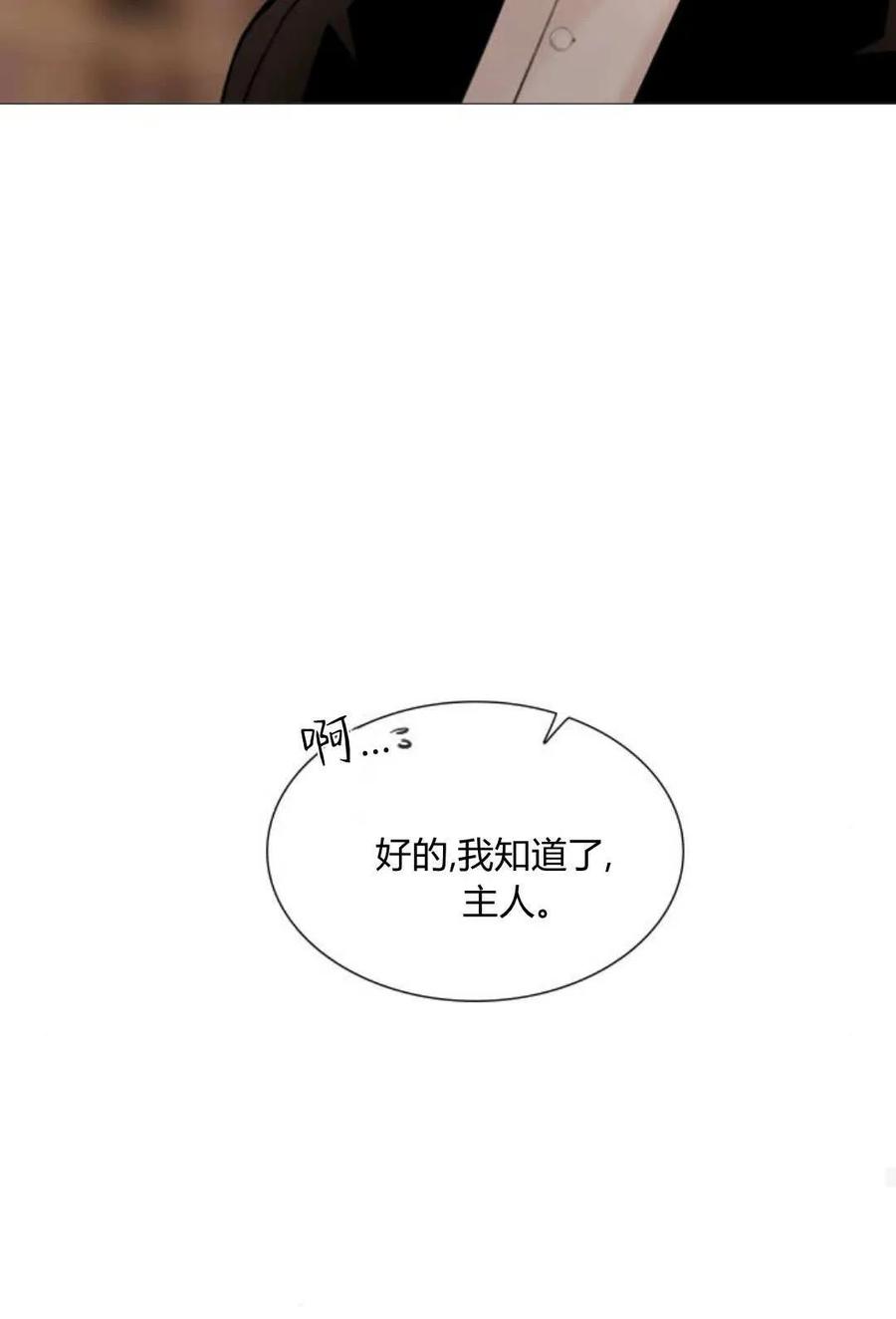 96.jpg