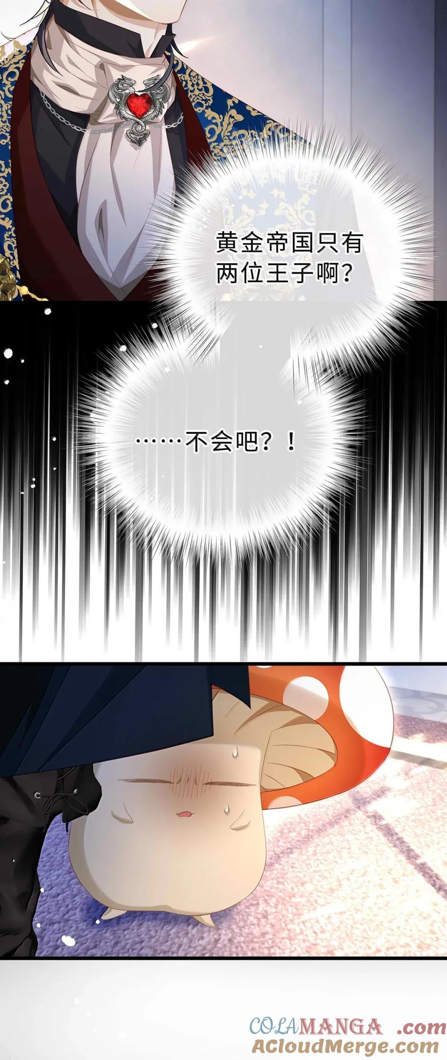 23.jpg