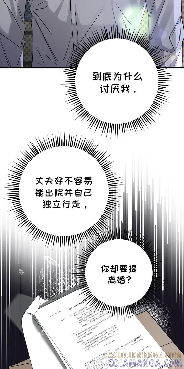 第1章：离婚-致不爱你的我-ISNAX（第4张）