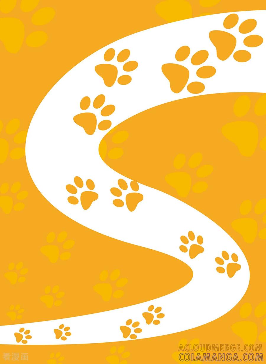 最终话-虹猫蓝兔快乐数学-虹猫蓝兔（第13张）