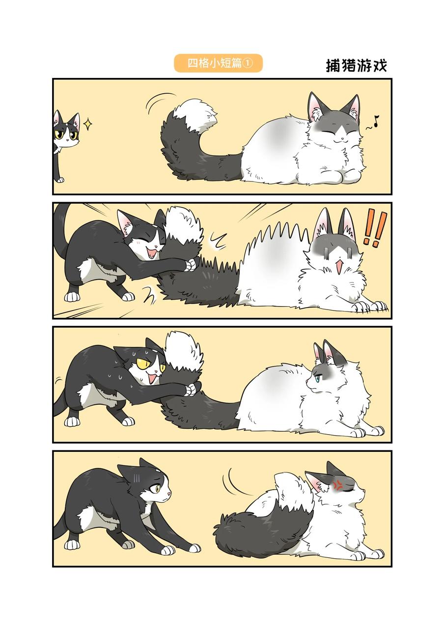 18.jpg