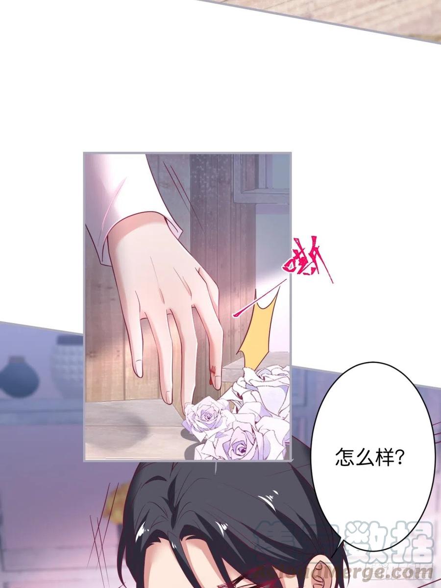 花花丢了，宁烨怒了！-致命氧气-箫勺映画-调羹/两只猫（第5张）