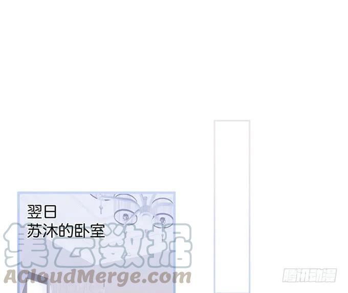 黏人精与高冷派-致命氧气-箫勺映画-调羹/两只猫（第1张）
