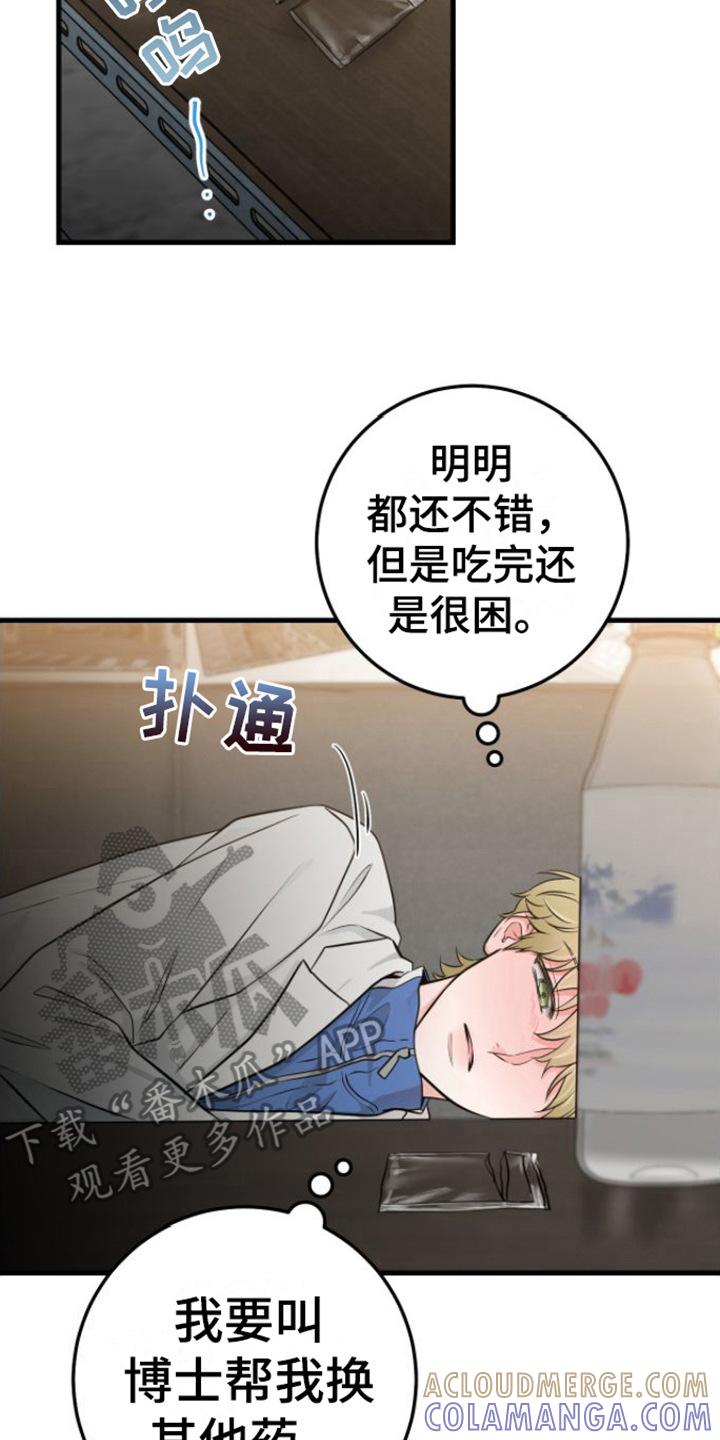 第16章：视频汇报-绝命重逢-Uiaoenm（第17张）