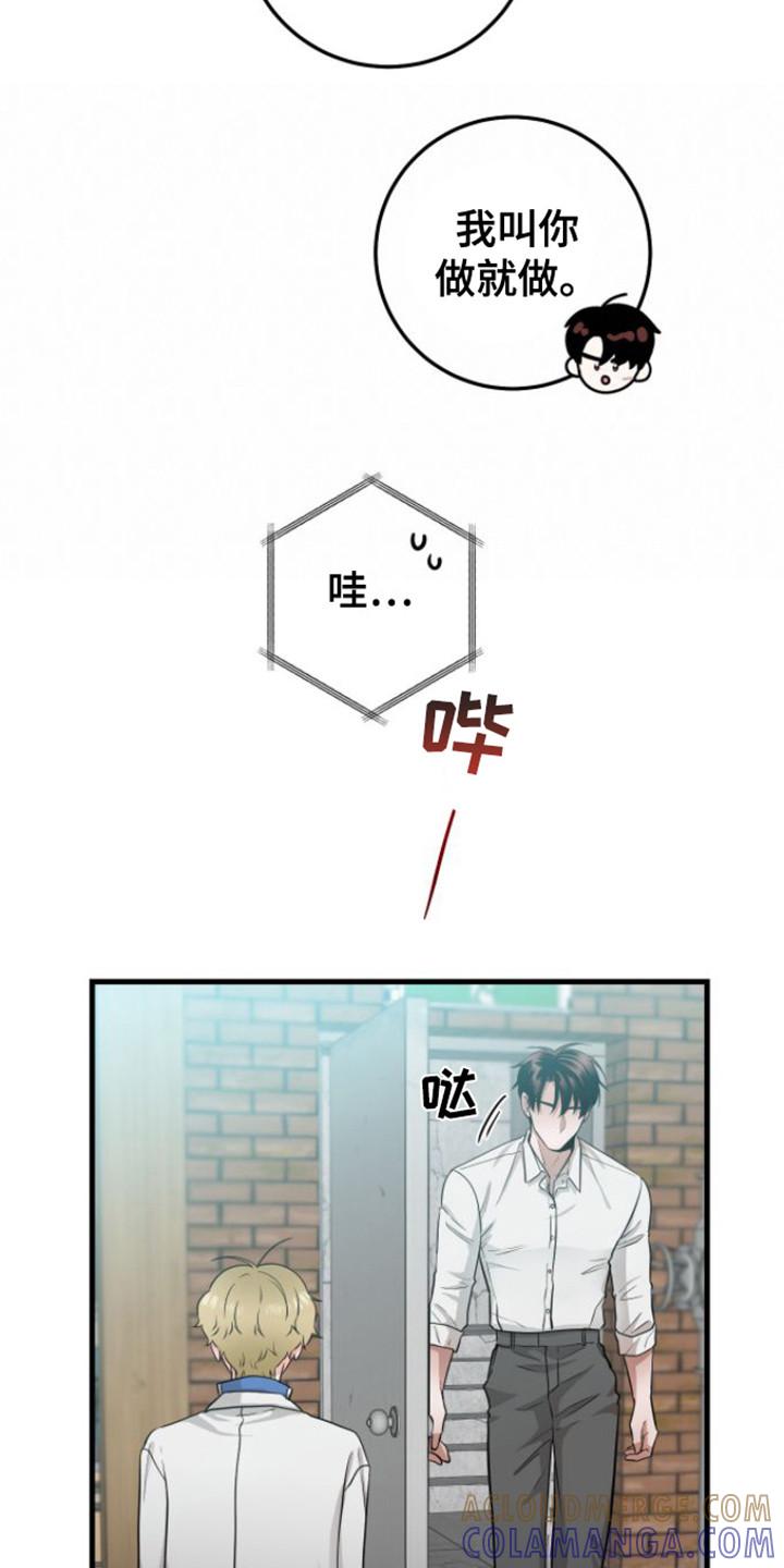 第20章：落下东西-绝命重逢-Uiaoenm（第3张）