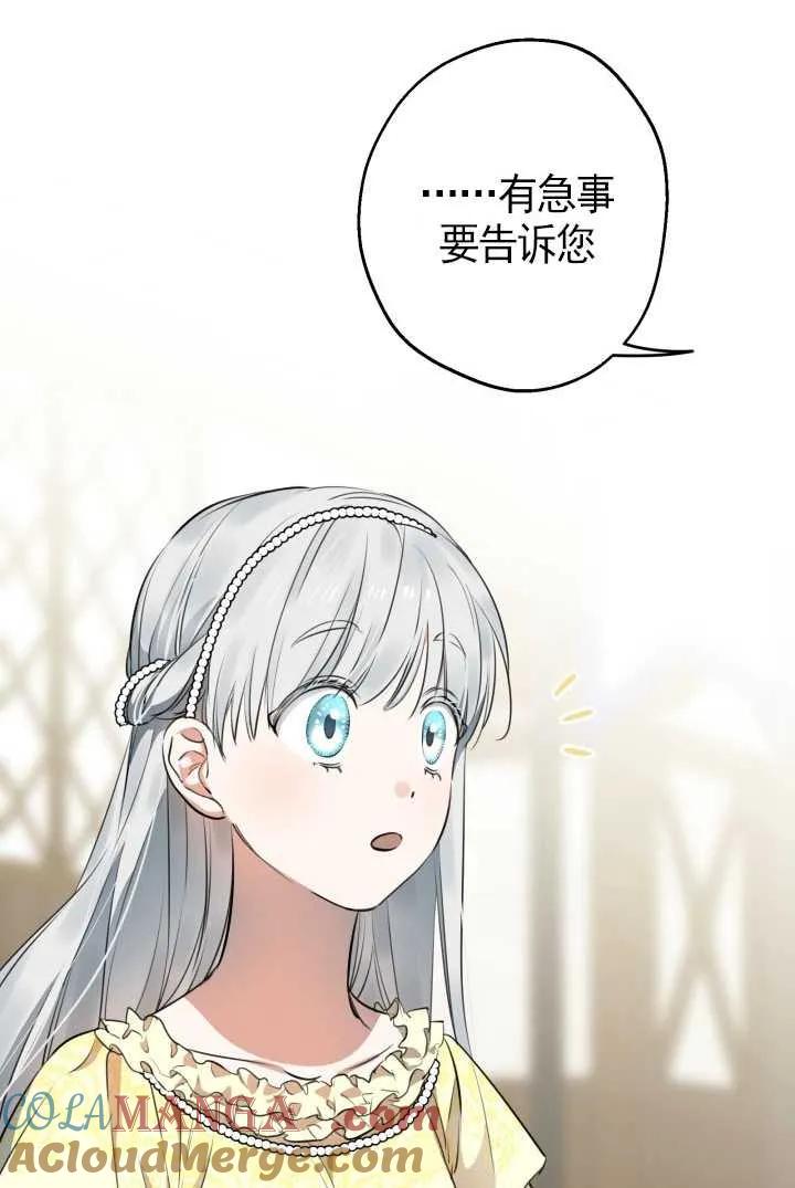 85.jpg