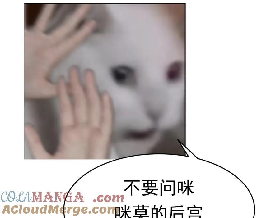 225.jpg