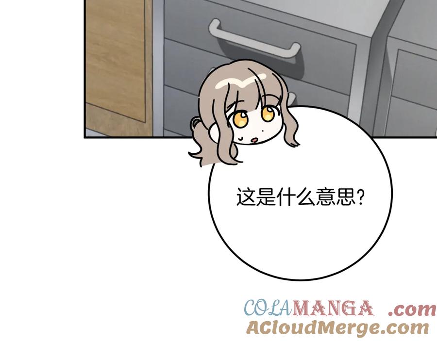205.jpg