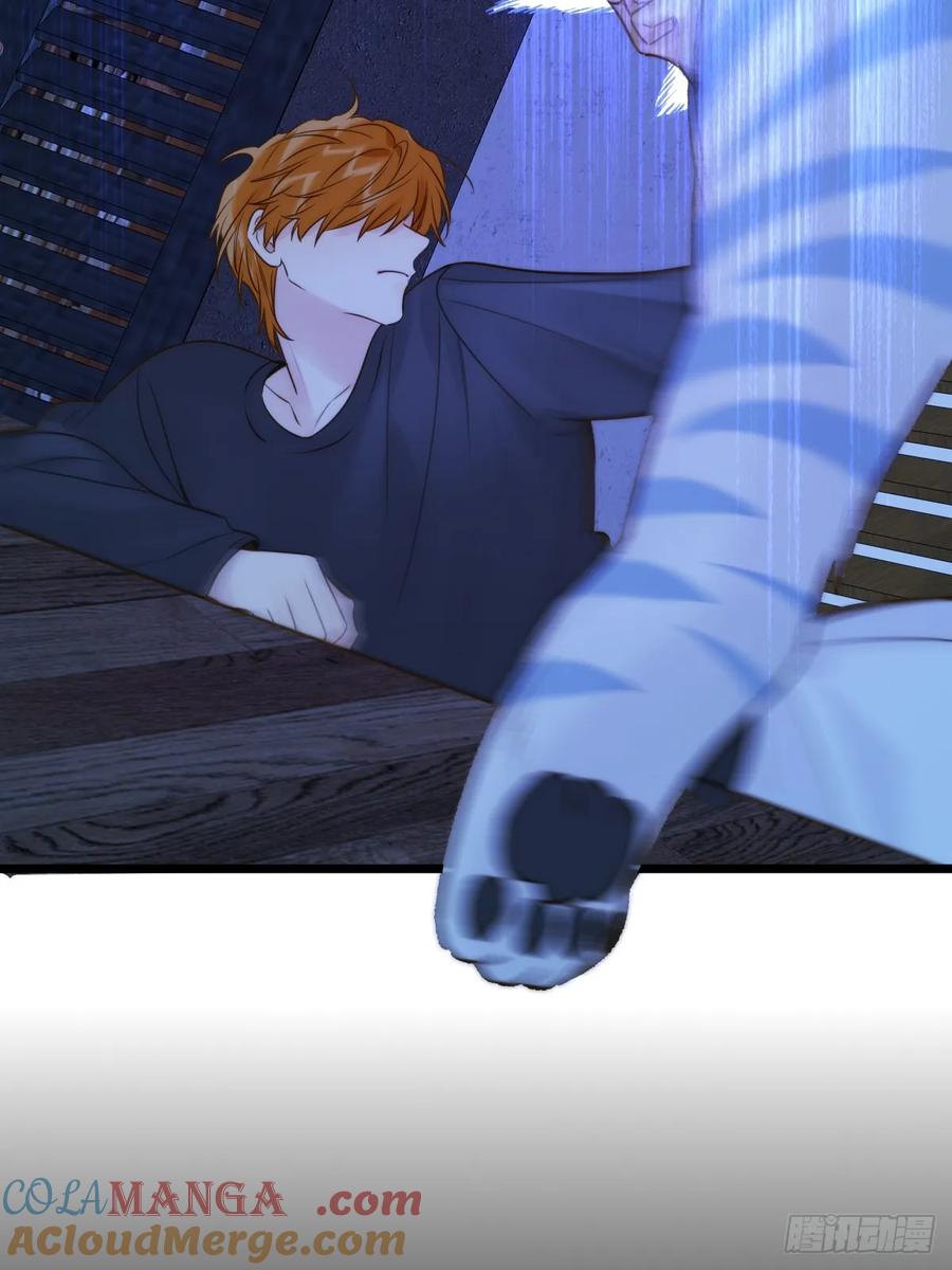 40.jpg