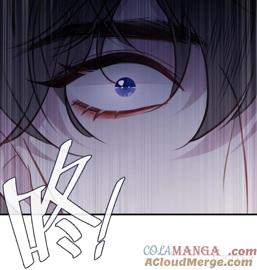 双花：13、孤注一掷-他未曾坠落-鹿溪 x 云霜堂文化（第37张）