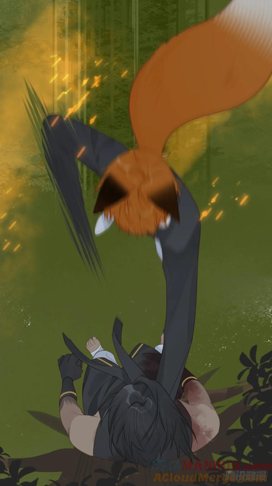 46.jpg