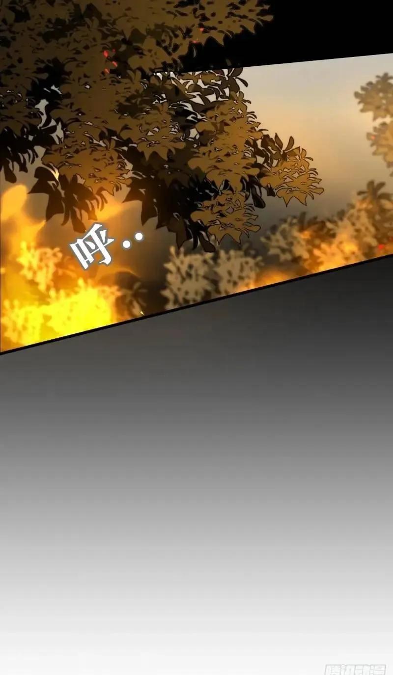 50.jpg
