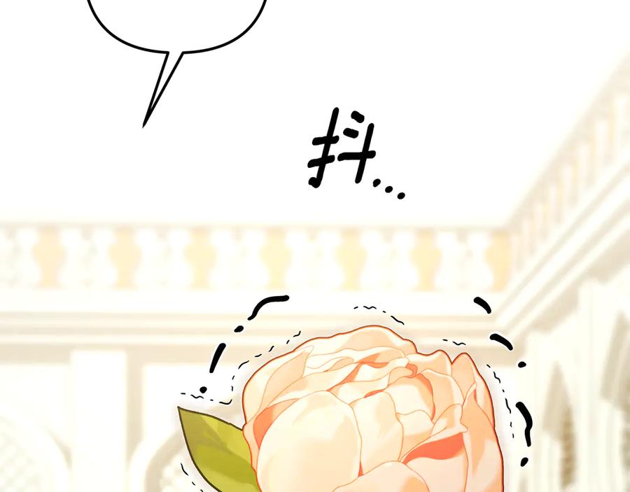第63话宁愿是个梦-掠夺婚姻-（第3张）