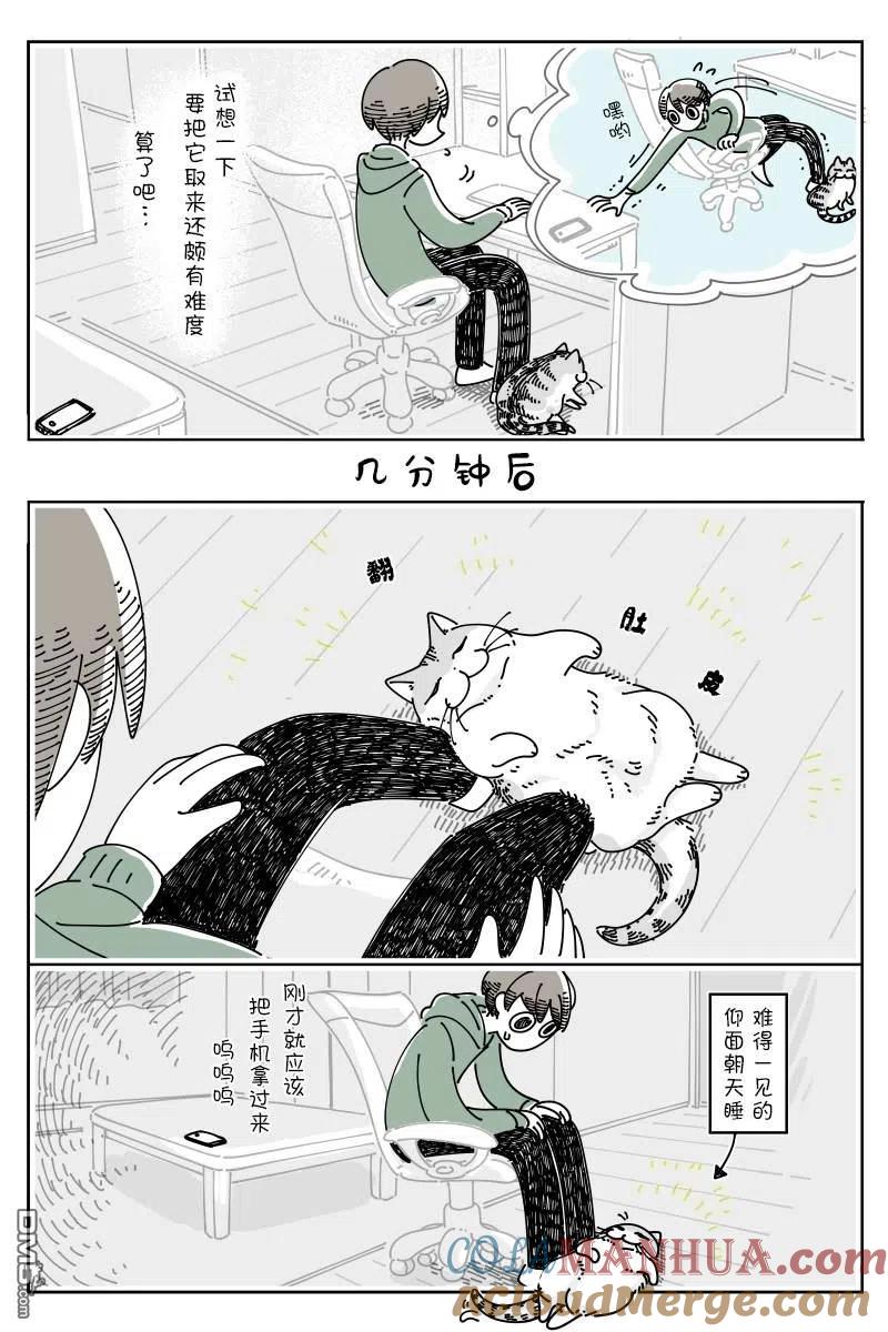 第116话-关于养猫我一直是新手-キュルZ（第2张）