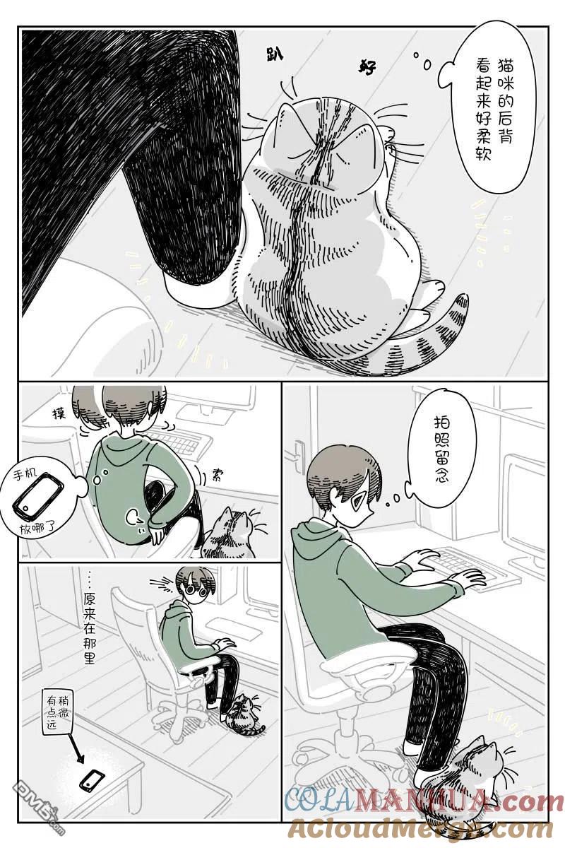 第116话-关于养猫我一直是新手-キュルZ（第1张）