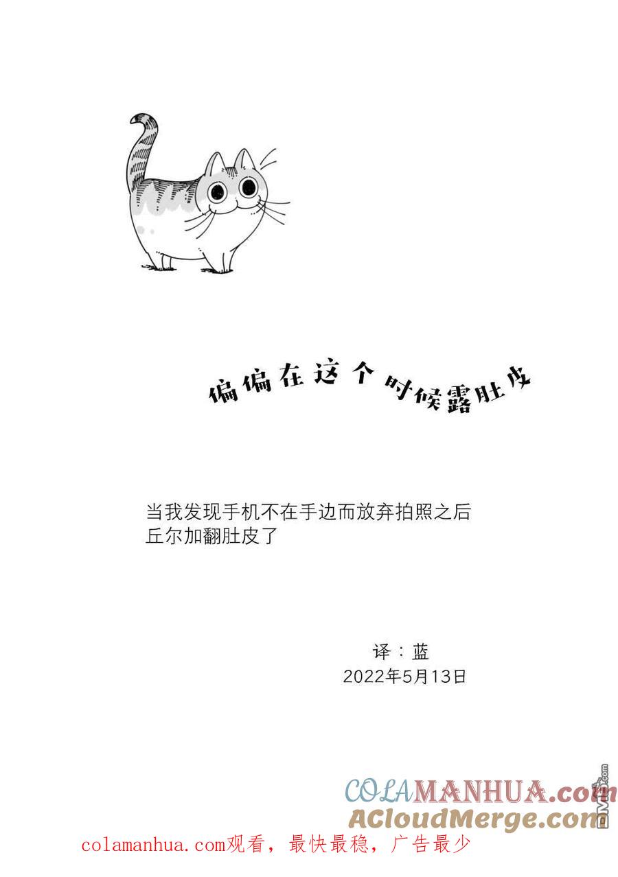 第116话-关于养猫我一直是新手-キュルZ（第3张）