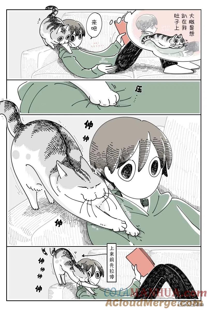 第117话-关于养猫我一直是新手-キュルZ（第1张）