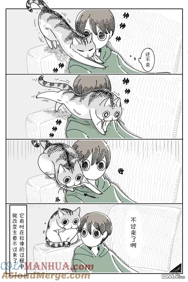 第117话-关于养猫我一直是新手-キュルZ（第2张）