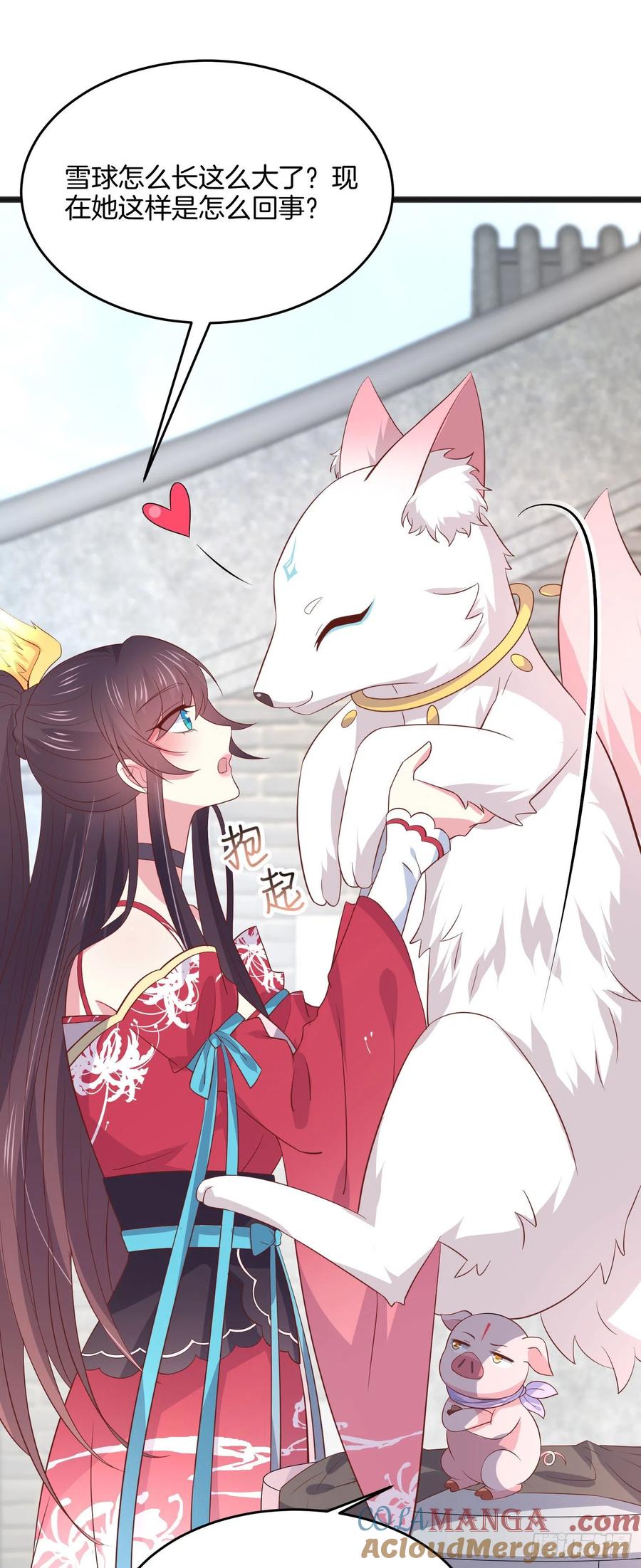 第一百九十八话雪球回来啦-至尊瞳术师：绝世大小姐-奇喵屋工作室-喵菌 x 顾珅之 x 一朵摇曳的小花（第7张）