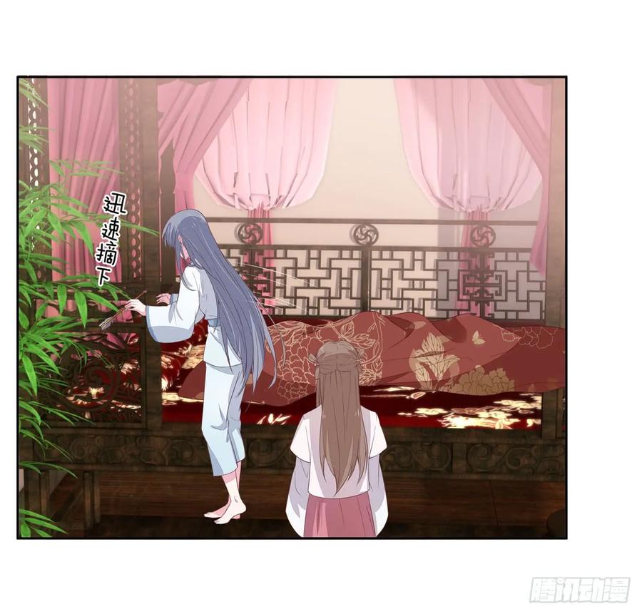 第二十话事败速来-至尊瞳术师：绝世大小姐-奇喵屋工作室-喵菌 x 顾珅之 x 一朵摇曳的小花（第8张）