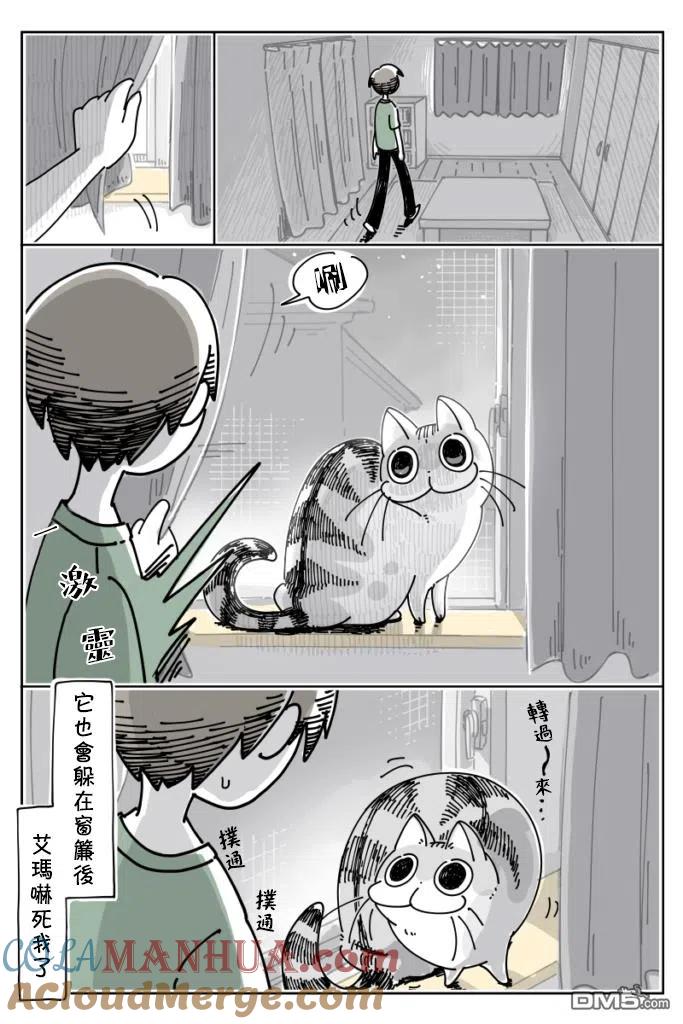 第24话-关于养猫我一直是新手-キュルZ（第1张）