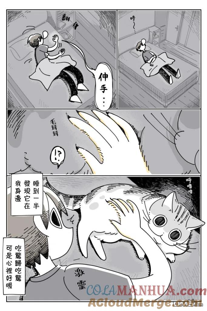 第24话-关于养猫我一直是新手-キュルZ（第2张）