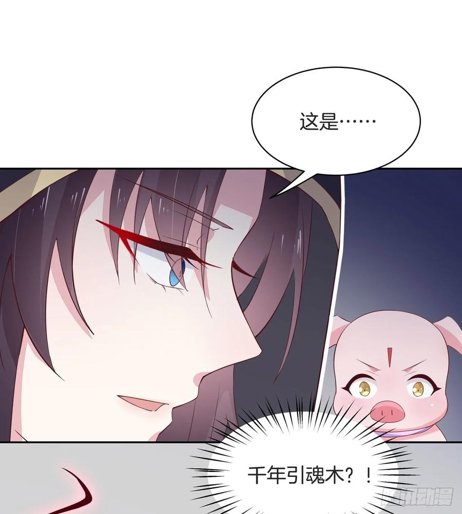 第三十七话我家尊主有请-至尊瞳术师：绝世大小姐-奇喵屋工作室-喵菌 x 顾珅之 x 一朵摇曳的小花（第5张）
