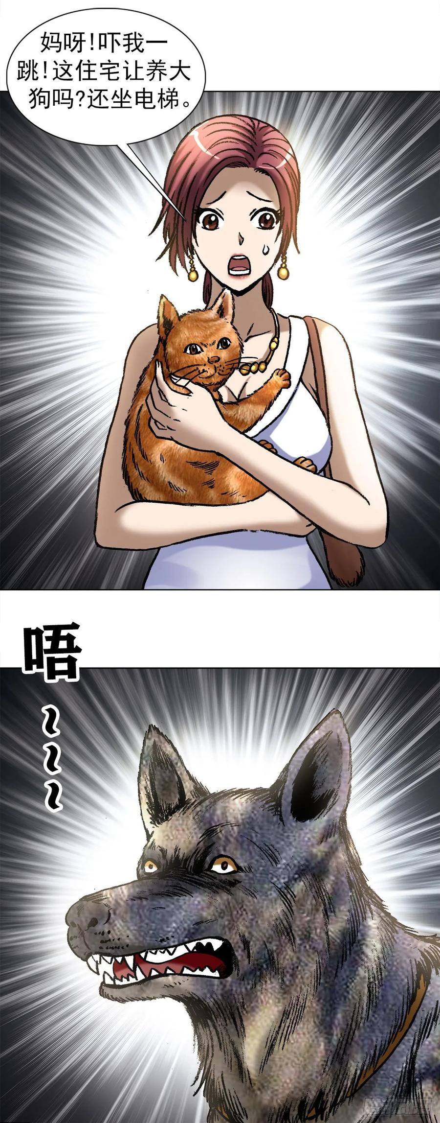 1019猫-中国惊奇先生（神鬼七杀令）-权迎升（第12张）